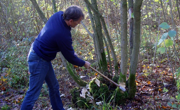 coppice courses